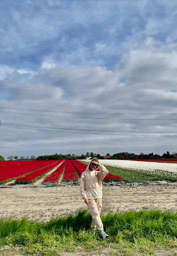 Tulpenfeld Vordorf - Meine - Thumbnail