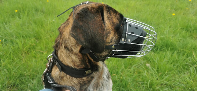 Maulkorb für den Hund - Lager alle9 UG - Brandenburg an der Havel