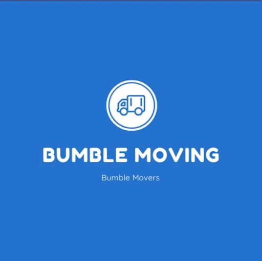 Bumble - Visual