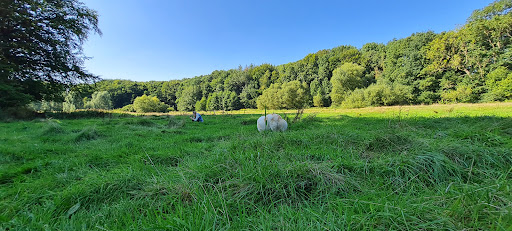 Riesebusch West - Thumbnail