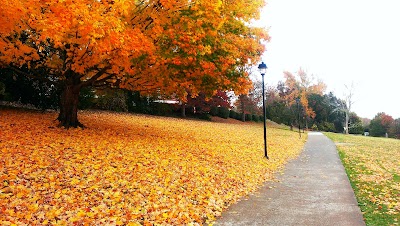 Photos of Southern Adventist University