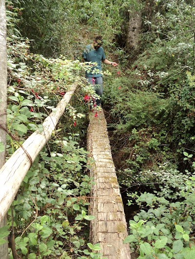 Photos of Mirador Parque Santa Elena