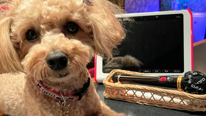 ミュージックラウンジ奏