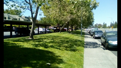 Rohnert Park Station