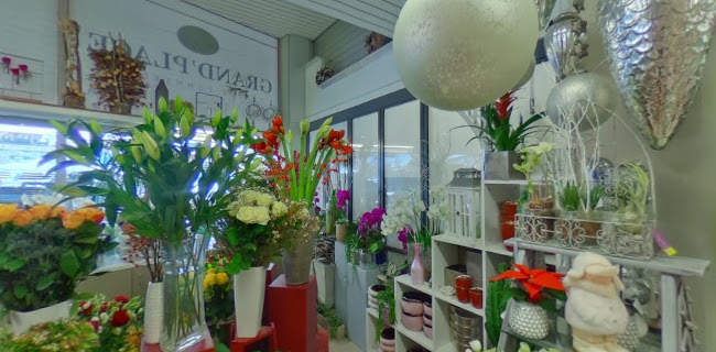 Design Flowers Telefonnummer