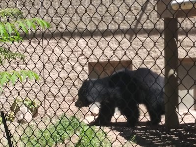 Idaho Falls Zoo at Tautphaus Park