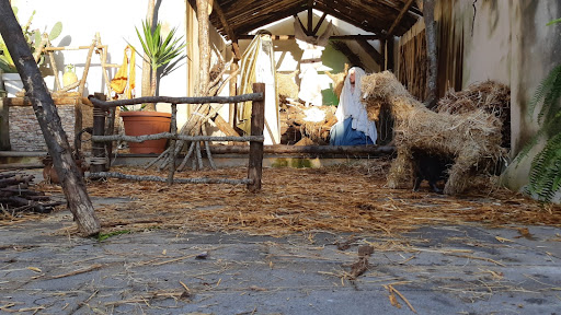Passeggiando nel presepe - Canceglie Sora - Thumbnail
