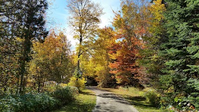 Photos of Scott's Superior Inn & Cabins