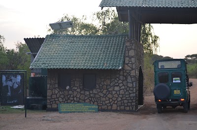 Photos of Yala Safaris Sri Lanka