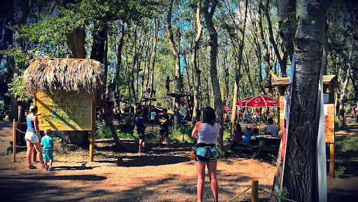 Pangaea Terre d'Aventures - Parc de loisirs et Accrobranche à Vendres
