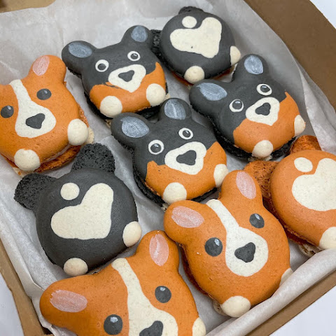 Little Blue Macaron by null