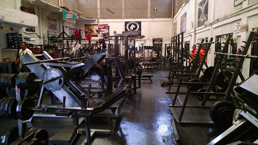 MASTINES GYM