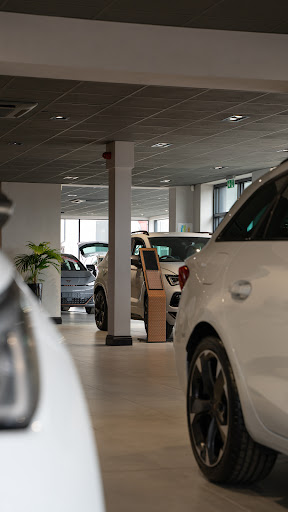CUPRA Norwich - Thumbnail
