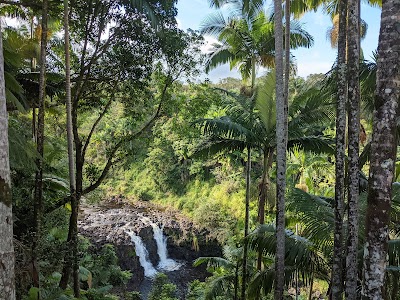 The Umauma Falls Experience