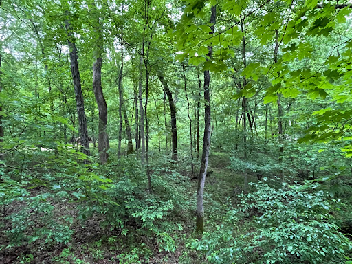 Bluff View Trail - Visual