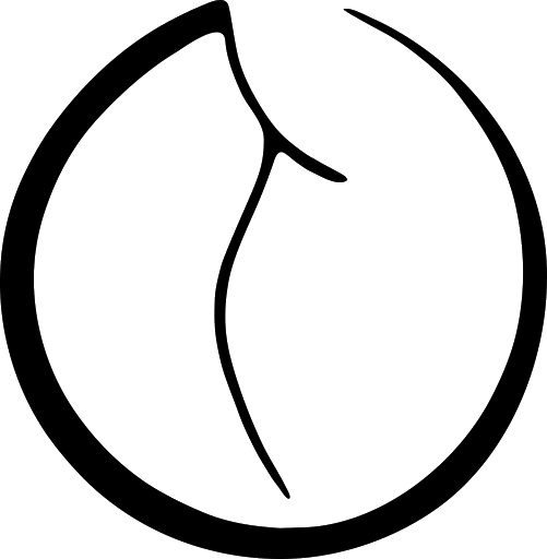 Trainer - Visual