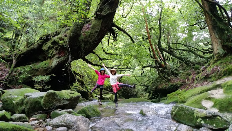 屋久島ネイチャー企画FIELD