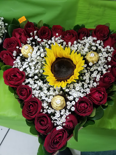 Florería Spaider - Visual