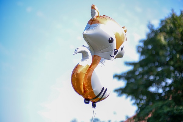 WBS SCHULEN Dresden Mitte photo