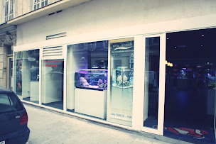 Photo n°10 de Neoquarium à Castagniers (Aquarium)