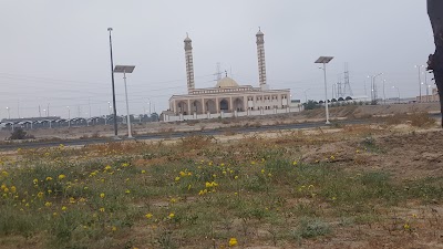 photo of Imams Hadi and al-Kadhim mosque on them peace