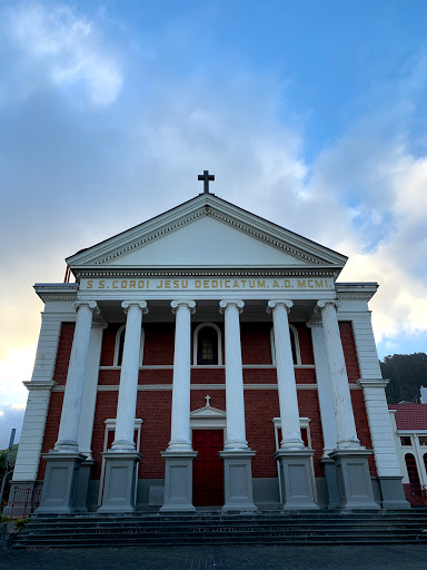 Metropolitan Cathedral of the Sacred Heart - Thumbnail