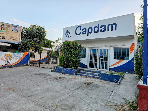 Capdam - Visual