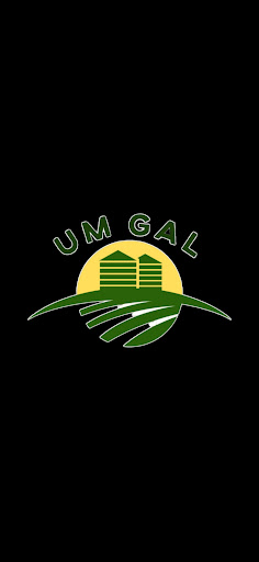 U.M.Gal - Visual