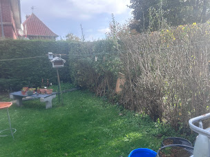 Photo n°20 de A.T.SOLUTIONS à Marquette-lez-Lille (Jardinier)