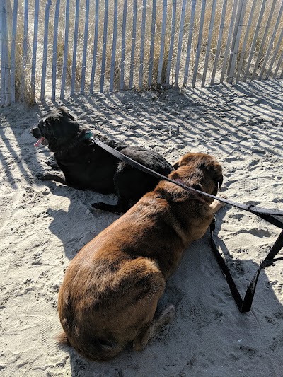 Bethany Beach Boardwalk