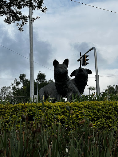 Glorieta De Los Coyotes
