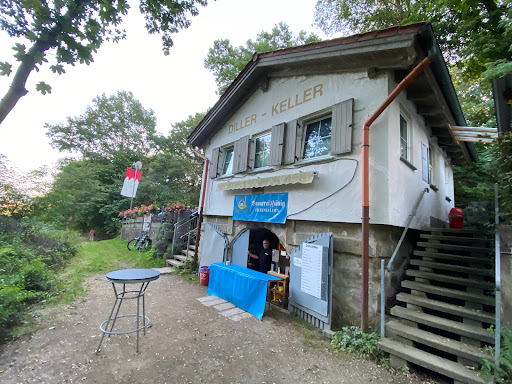 Diller-Keller - Visual