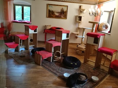 Photos of Gut Aiderbichl Deggendorf