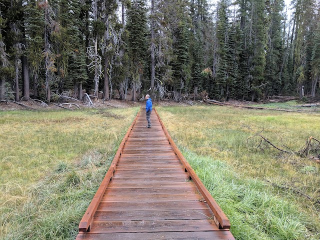 Parc national volcanique de Lassen