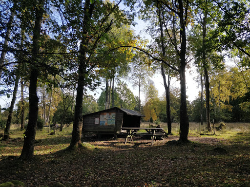 Jällabjär - Visual