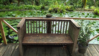 Photos of Orchid Gardens at Sleeping Giant