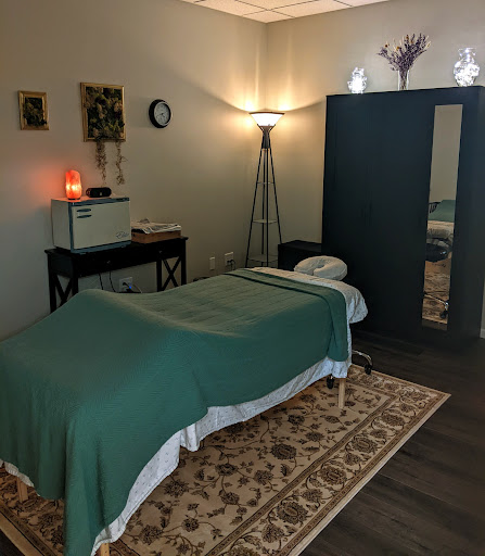 Willow Wellness Collaborative - Visual