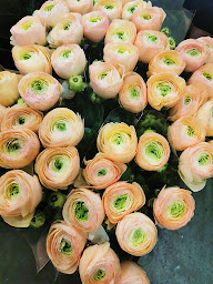 Photo n°19 de FleuraMetz Rennes à Cesson-Sévigné (Fleuriste grossiste)