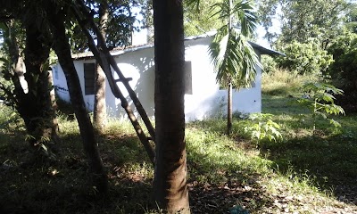Photos of Shafi Dairy Farm