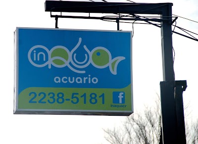 Photos of Acuario In Aqua