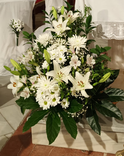 Floristeria La Flor de Lis Palencia - Thumbnail