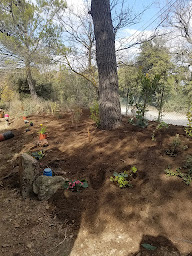 Photo n°20 de AgrEcoPaillage à Rians (Service de livraison)