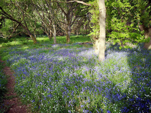 Honing Hideaway C&CC 5cs Gallery - United Kingdom