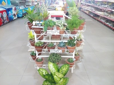 Photos of Sense Berry Super Store