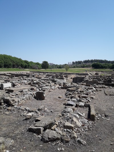 Photos of Archaeological Museum of Avdira