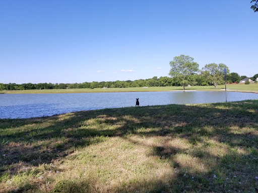 Springfield Park - Visual