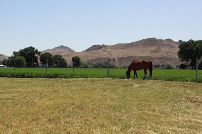 Vale Veterinary Clinic