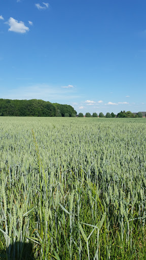 Uedem Keppeln