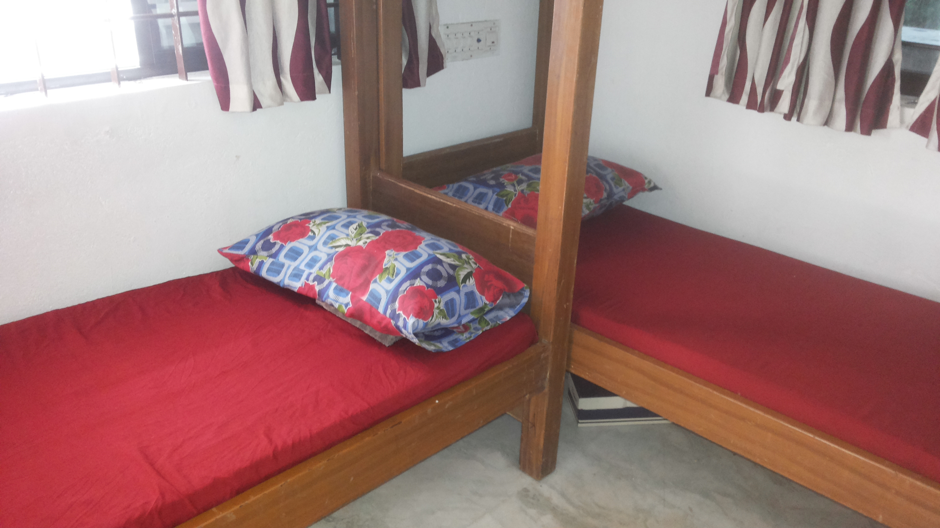 Premium Bunk Beds