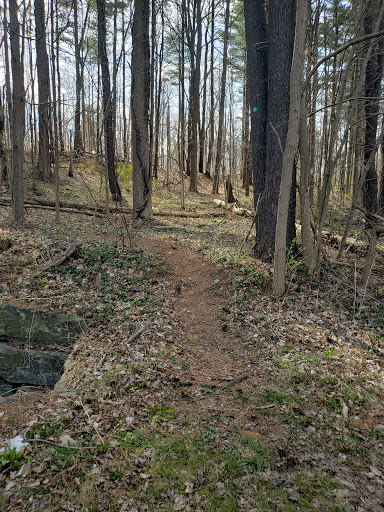 Owl Creek Trailhead